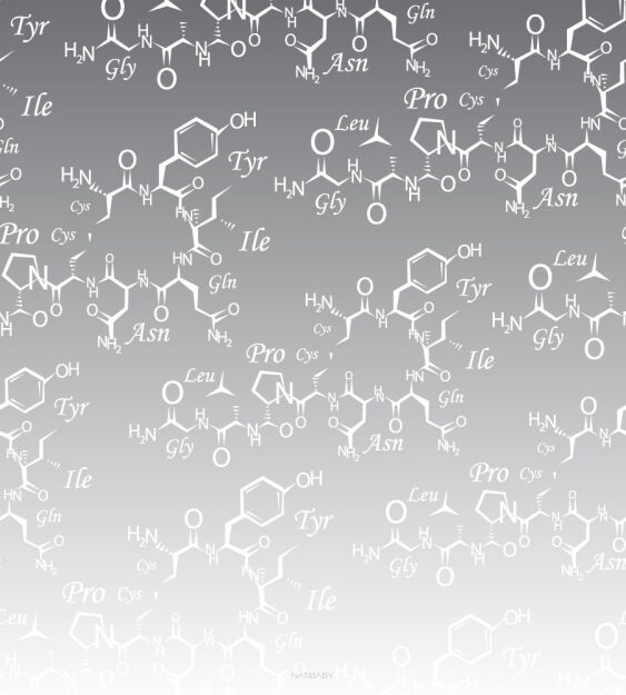 PreOrder Oxytocin Harmaa, ONBUHIMO NOSIDEŁKO ERGONOMICZNE, [100% bawełna] nosidełko dla dziecka, nosidełka dla dzieci, nosidło dla dziecka, nosidła dla dzieci, nosidełko, nosidło, nosidła, nosidełka, nosidełko ergonomiczne, nosidło ergonomiczne, nosidła ergonomiczne, nosidełka ergonomiczne, bezpieczne nosidełko