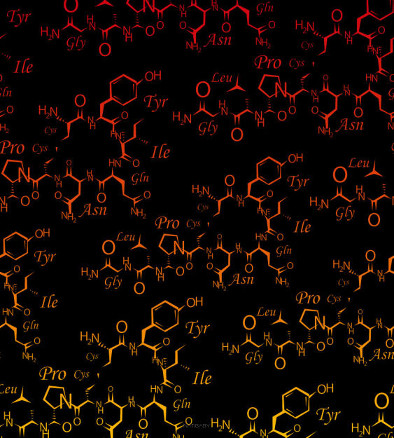 PreOrder Oxytocin Fire, CHUSTA WIĄZANA, [100% bawełna] chusta dla dziecka, chusty dla dzieci, chusta dla niemowląt, chusty dla niemowląt, chusta do noszenia dziecka, chusty do noszenia dzieci, bezpieczna chusta, bezpieczne chusty